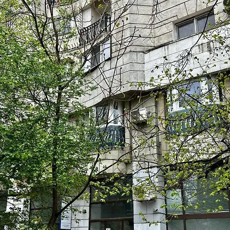 Old Center River View-4br-parliament-metro-park Daire Bükreş