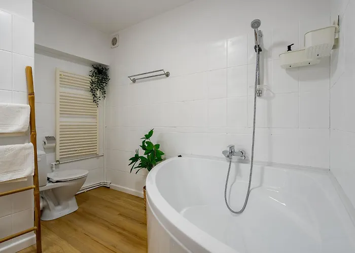 公寓 Old Center River View-4br-parliament-metro-park *